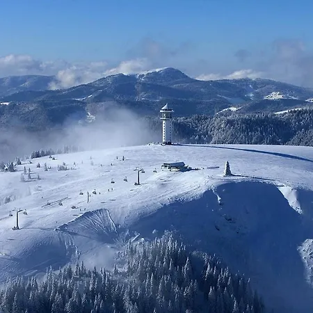 Heimatstub' Apartman Hinterzarten