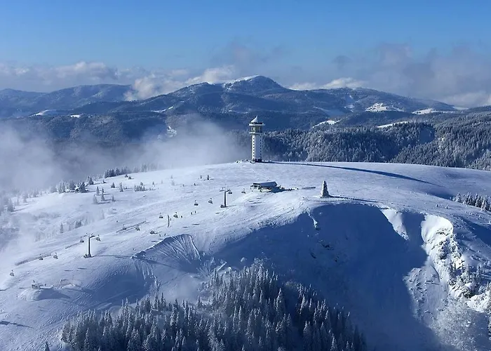 Heimatstub' Appartement Hinterzarten