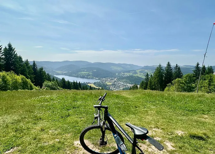 Heimatstub' Appartement Hinterzarten